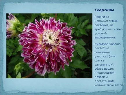 озеленяване проект училище сайт - биология, представяне (проект) озеленяване проект училище сайт - биология, презентации