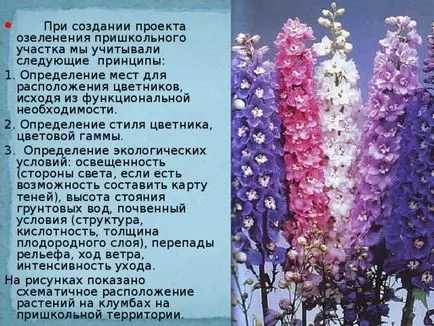 озеленяване проект училище сайт - биология, презентации (градинарство) озеленяване проект училище сайт - биология, презентации
