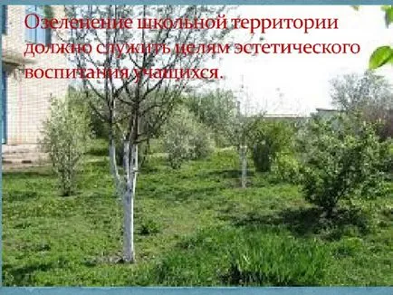 озеленяване проект училище сайт - биология, представяне (озеленяване сайт училище) озеленяване проект училище сайт - биология, презентации