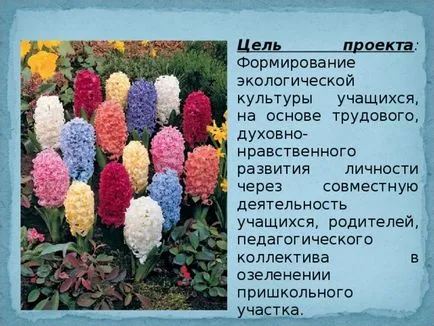 озеленяване проект училище сайт - биология, презентации (област) озеленяване проект училище сайт - биология, презентации