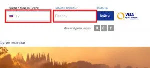 Проверете плащане киви