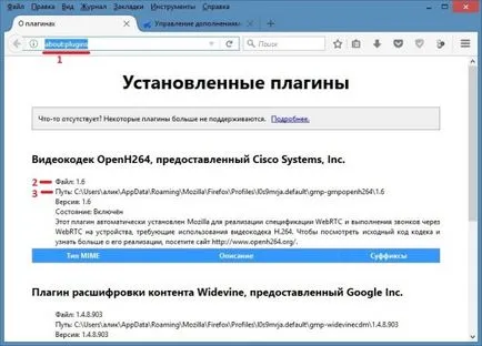 Firefox плъгин проверка за актуализации, как да се правят на компютър