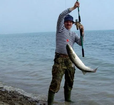 Риболов в Черно море като улов на риба, която е намерена риболов от брега, видео