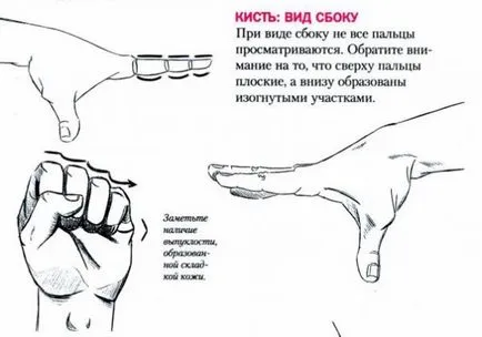 Рисуване на човека