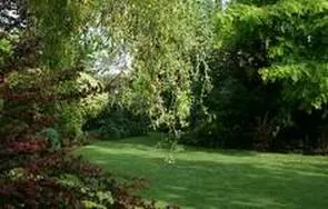 Garden Art, член, по-голямата си научното списание