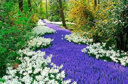 Gardens като обект на история на изкуството