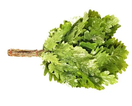Руска баня, метли за баня