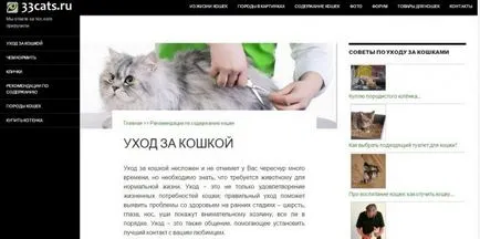 за котка собственик сайтове десетте най-добри за тези, които живеят с котки