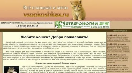за котка собственик сайтове десетте най-добри за тези, които живеят с котки