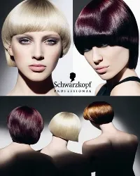 Schwarzkopf (Schwarzkopf) - глава!