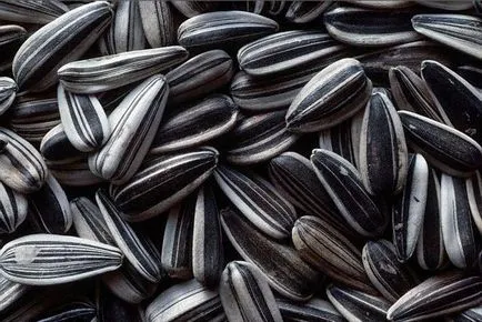 Слънчогледовите семки - ползи и вреди любим на продукта