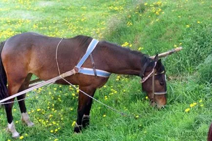 Как да продадем зенит фотоапарат