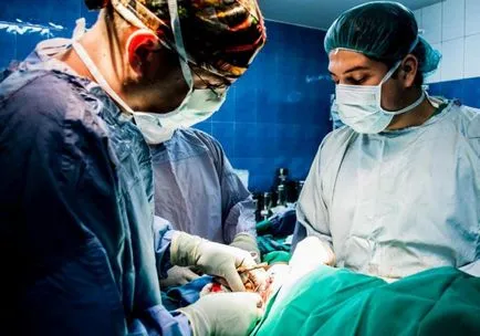 хермафродити го