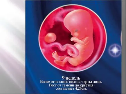 хермафродити го