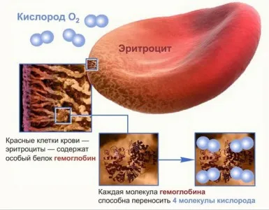 Как да се увеличи хемоглобина лекарства