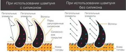 Силикон за коса в медиите за козметика, дали вредно