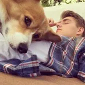 Куче Alekseya Vorobeva - Елвис (Corgi порода) биография, снимки (рок) Куче Alekseya Vorobeva - Елвис (Corgi порода) биография, снимки