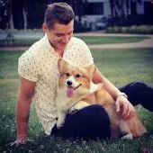 Куче Alekseya Vorobeva - Елвис (Corgi порода) биография, снимки (Алексей) Куче Alekseya Vorobeva - Елвис (Corgi порода) биография, снимки