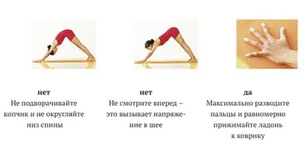 Куче муцуната надолу 