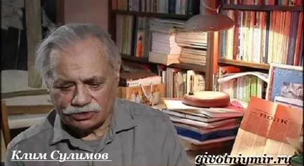 sulimov куче