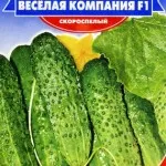 Сортове краставици със снимки и описания, идеи за дома и градината
