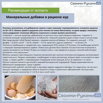 Състав на фураж за кокошки носачки - подробностите!