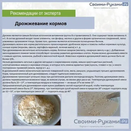 Състав на фураж за кокошки носачки - подробностите!