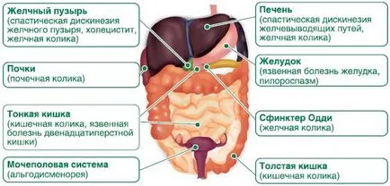 Спазми на червата причините и лечението