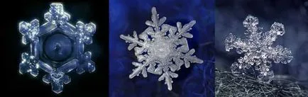 Структурирана вода в дома
