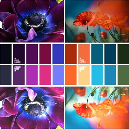 Лекотата на цвят, lookcolor