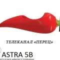 Телевизионният канал Телевизионният канал