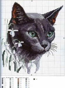 схема котка бродерия