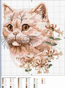 схема котка бродерия
