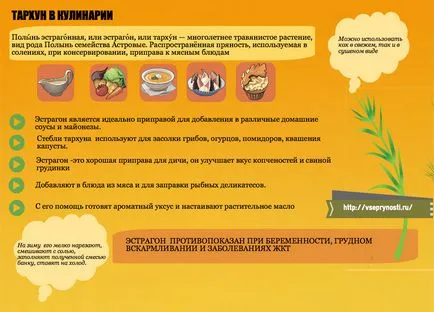 Естрагон в готвенето еднопосочни приложения и рецепти