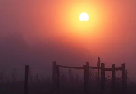 Видове темперамент - флегматичен описание, черти на характера и поведението