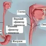Тромбоза на дълбоките вени на долните крайници