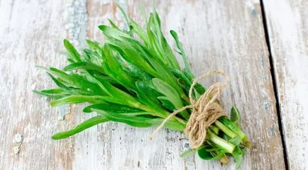 Herb естрагон - естрагон