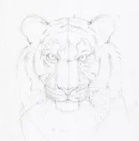 Научете се да се направи стъпка по стъпка чайка