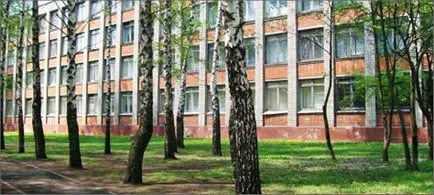 Участие в конкурса, сценарият на малък ученик