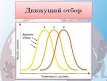 биология урок