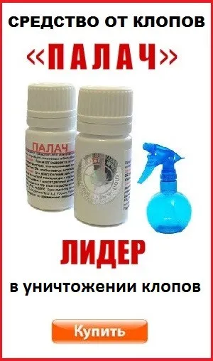 Mosquito ухапване премахване тежка сърбеж и зачервяване на детето и възрастни