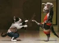 Успокояващо за Котки