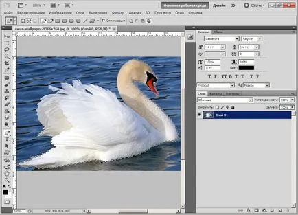 Photoshop уроци, отделяне на обекта от фона, как да се режат, всичко за Photoshop