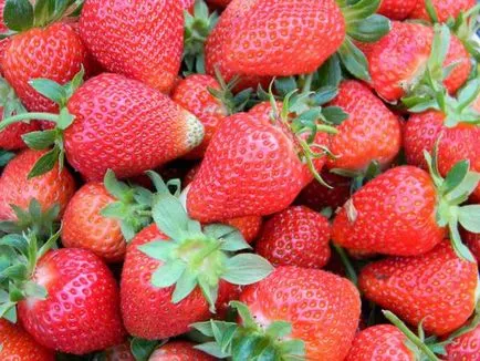 Успешното отглеждане на ягоди у дома (в апартамента)