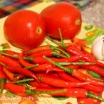 опции в марината за вкусна и сочни шишчета