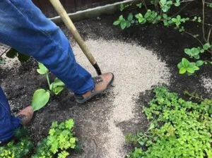 Вермикулит растение какво е то и как се използва продукта