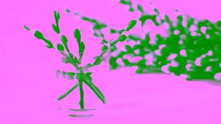 Цветница ваканционни традиции и знаци (неделя) Цветница ваканционни традиции и поличби