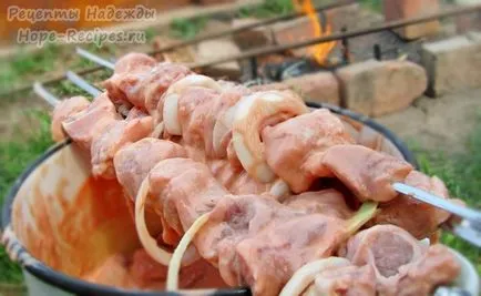 опции в марината за вкусна и сочни шишчета