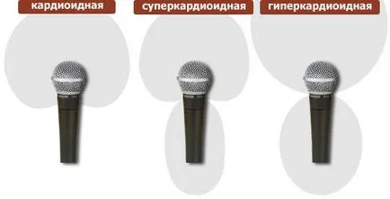 Видео и аудио - как да изберете микрофон, експерти клуб DNS