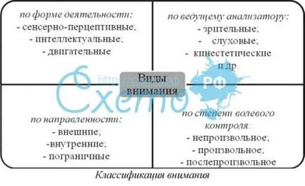 Видове внимание, видове и свойства на произволно, принудително